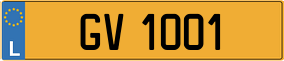 Truck License Plate